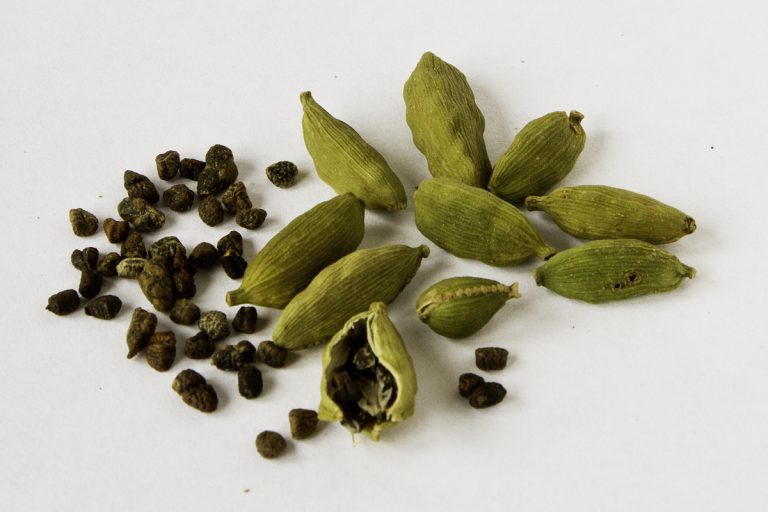 Cardamom Seed