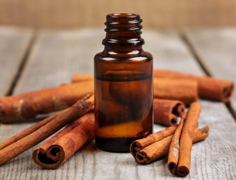 Cinnamon Bark Oil