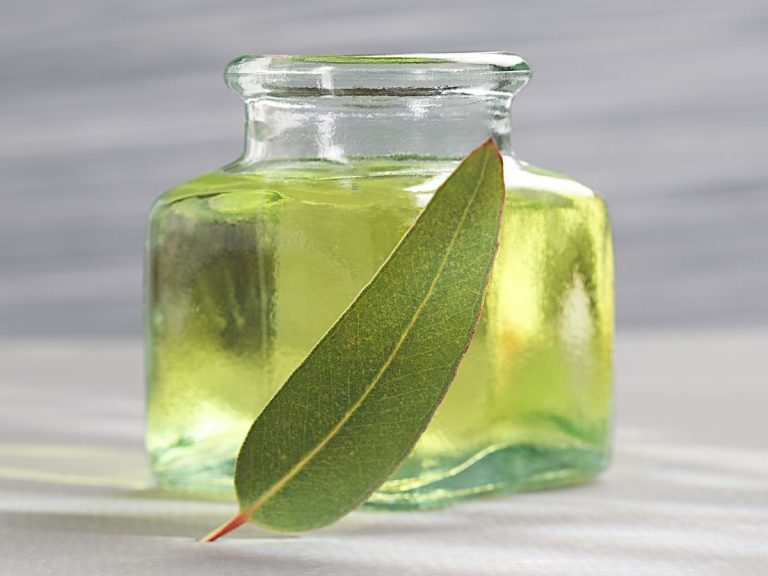 Eucalyptus Globulus Oil