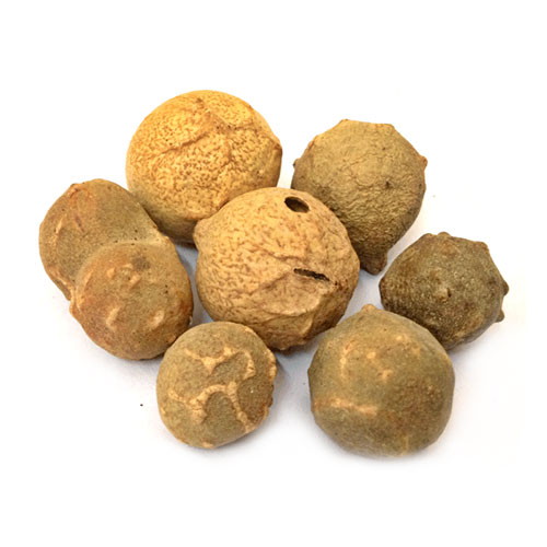 Oak Gall Extract