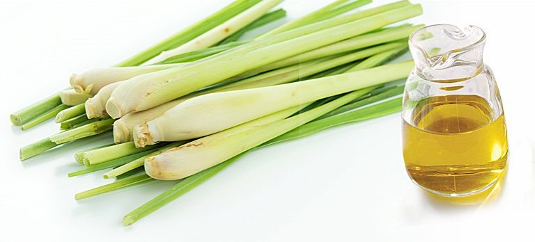 Lemon grass oil