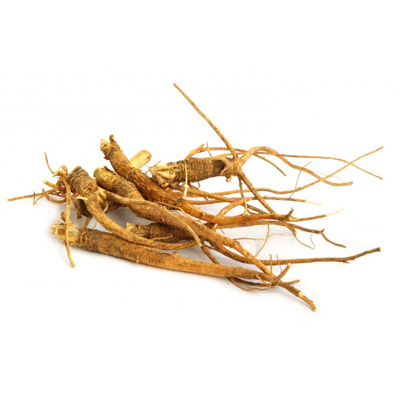 American Ginseng