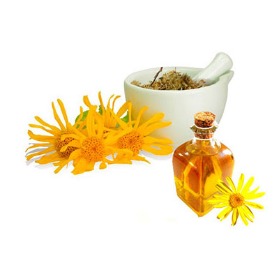 Arnica