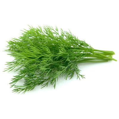 dill-weed