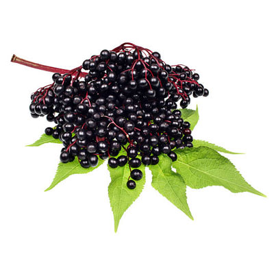 Elder berries