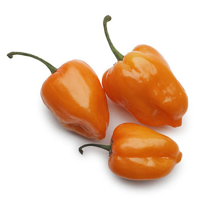 Habanero