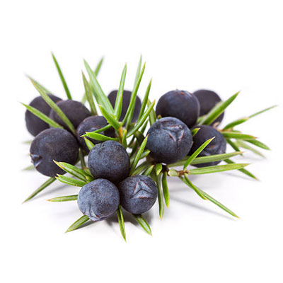 Juniper berries