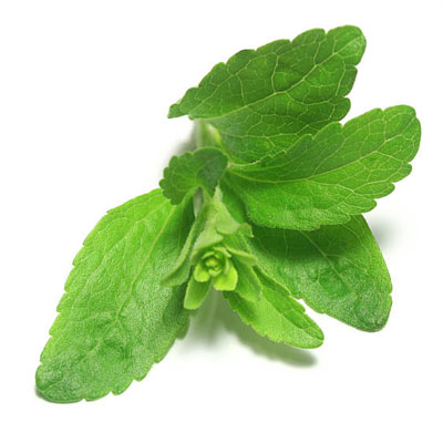 Stevia Extract