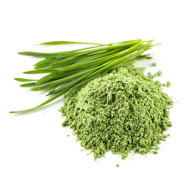 Wheat Grass