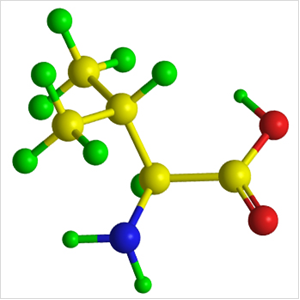 Amino Acids