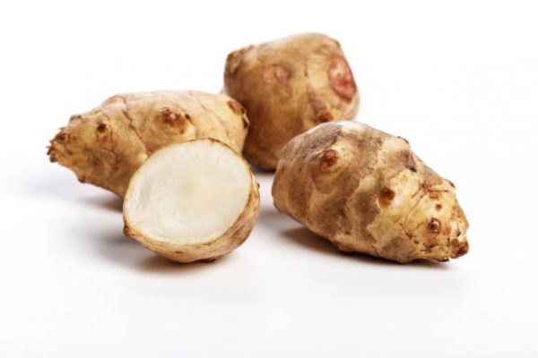 Jerusalem artichoke