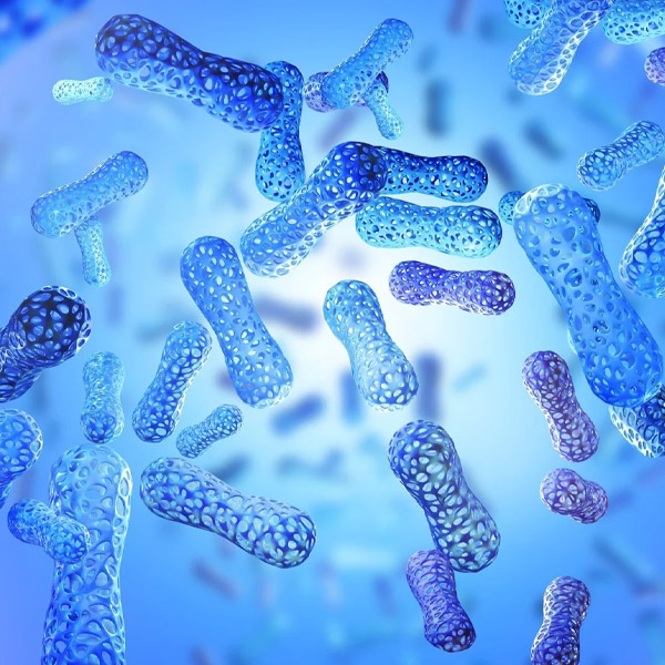 Probiotics